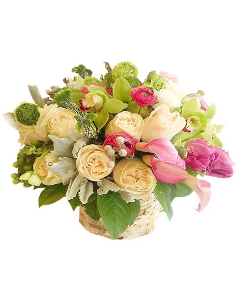 Bouquet