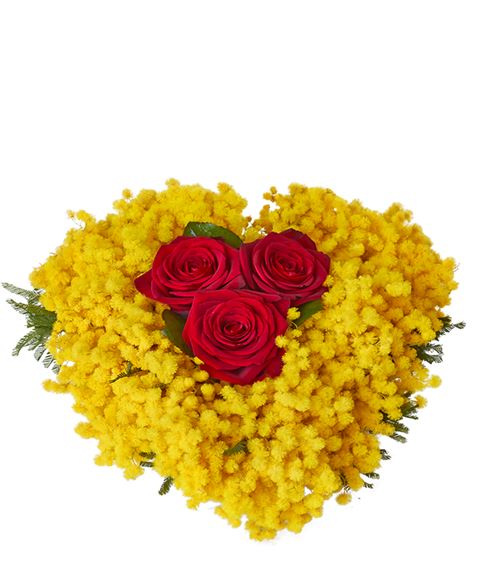 Cuore di mimosa