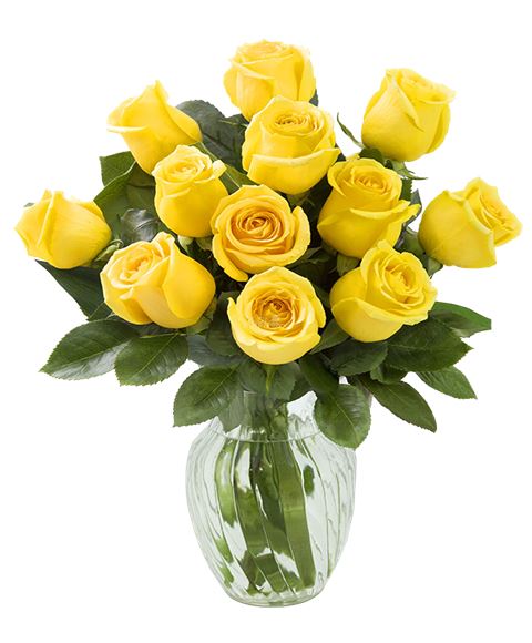 12 rose